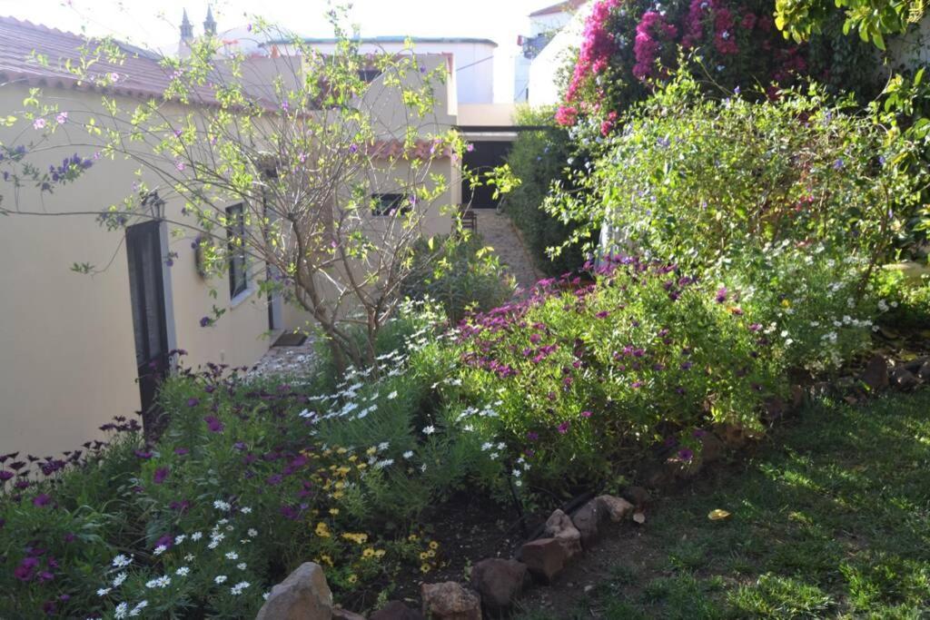 Garden In The City Silves Exterior photo